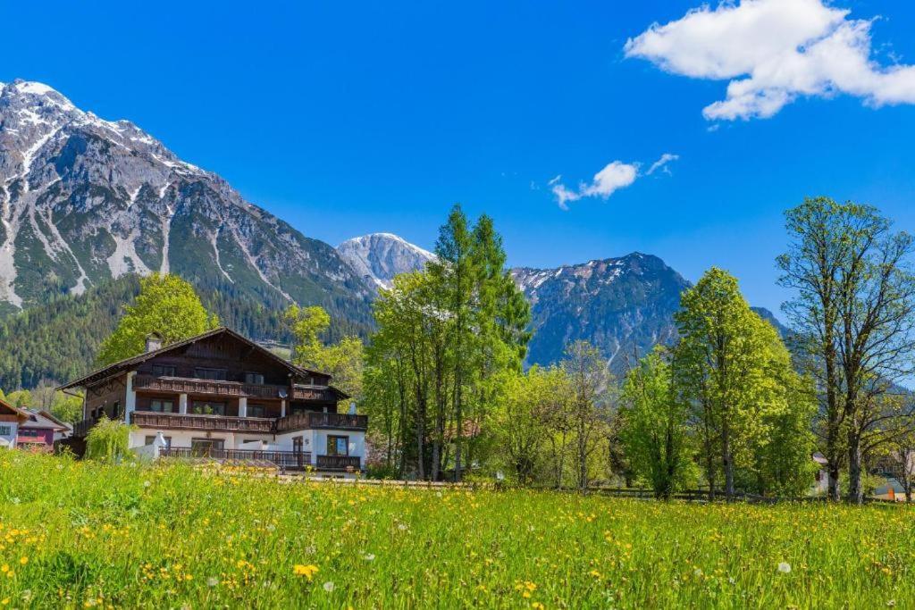 Bergidyll Top 1 Gartenwohnung رامساو أم داتشستين المظهر الخارجي الصورة